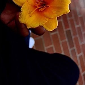 Meet your Posher, Laila